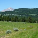 Big Sky MT 59716 - 3