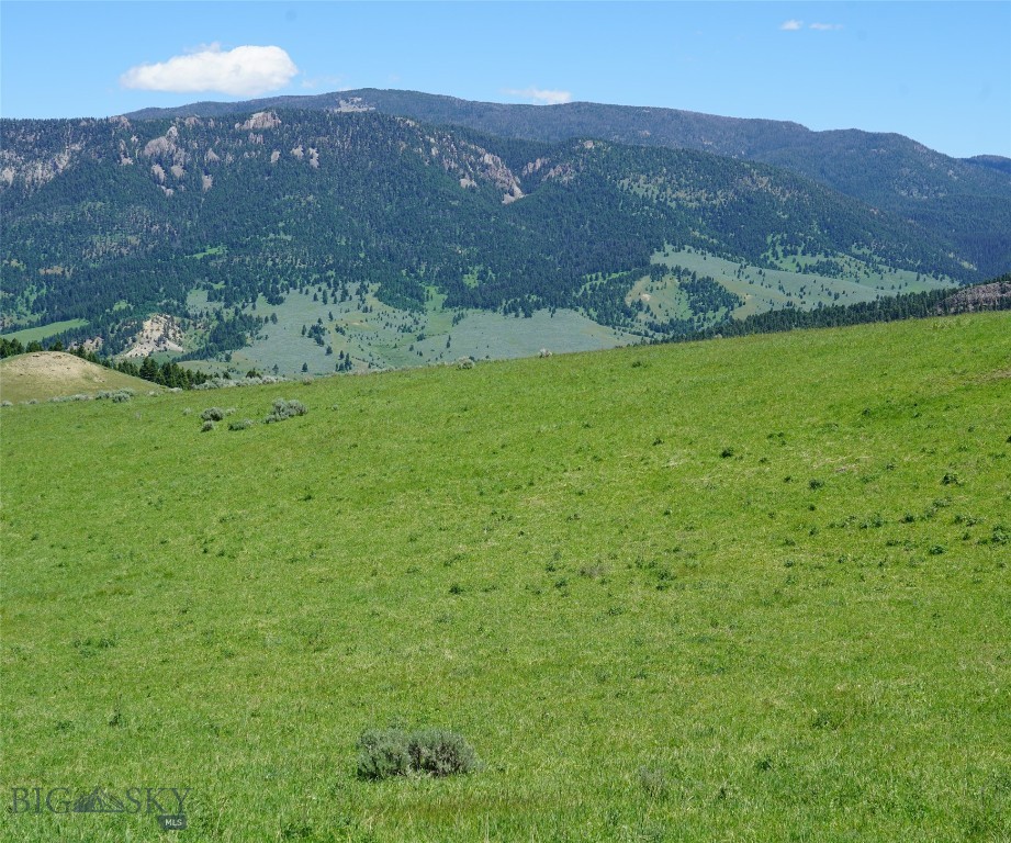 Big Sky MT 59716 - 4