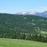 Big Sky MT 59716 - 5