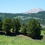 Big Sky MT 59716 - 1