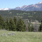 Big Sky MT 59716 - 6