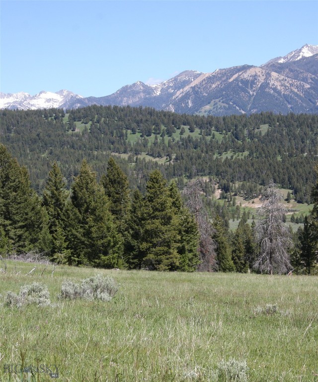 Big Sky MT 59716 - 6