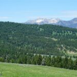 Big Sky MT 59716 - 9