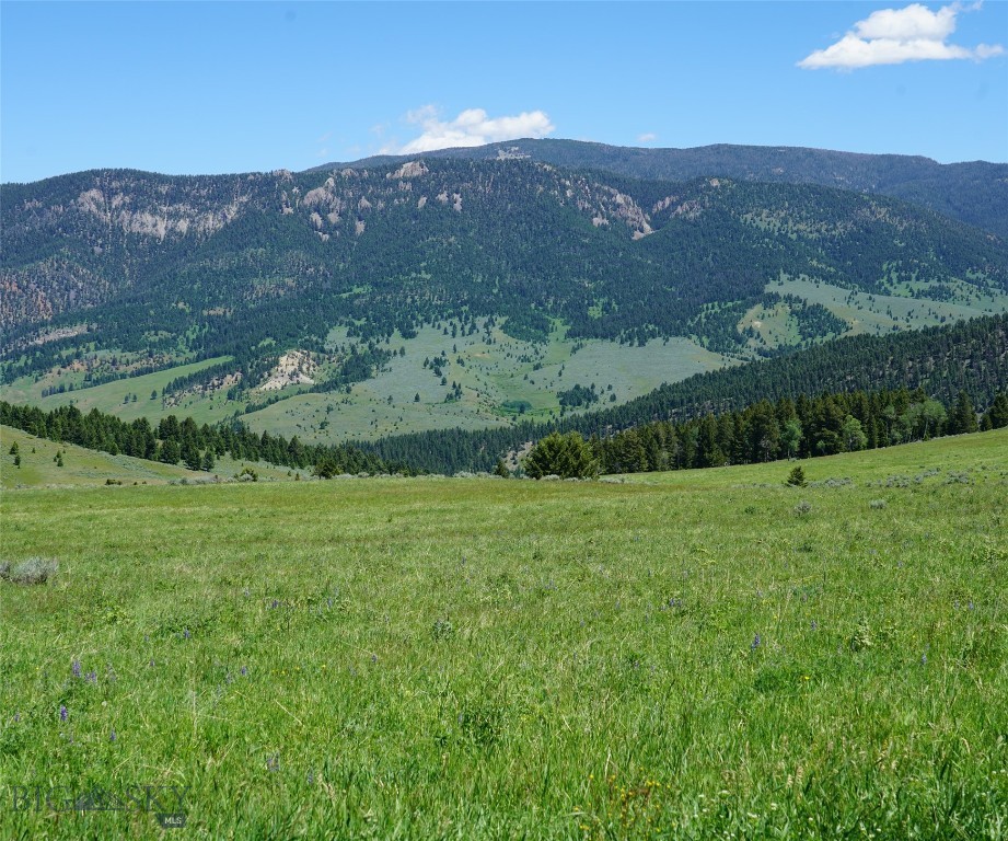 Big Sky MT 59716 - 10