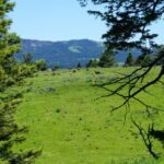 Big Sky MT 59716 - 11