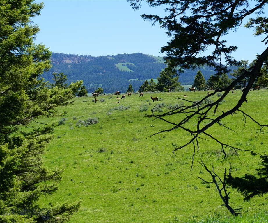 Big Sky MT 59716 - 11