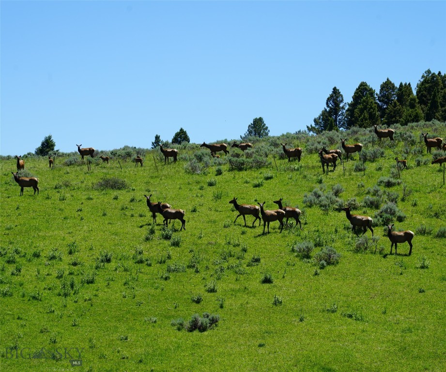 Big Sky MT 59716 - 12