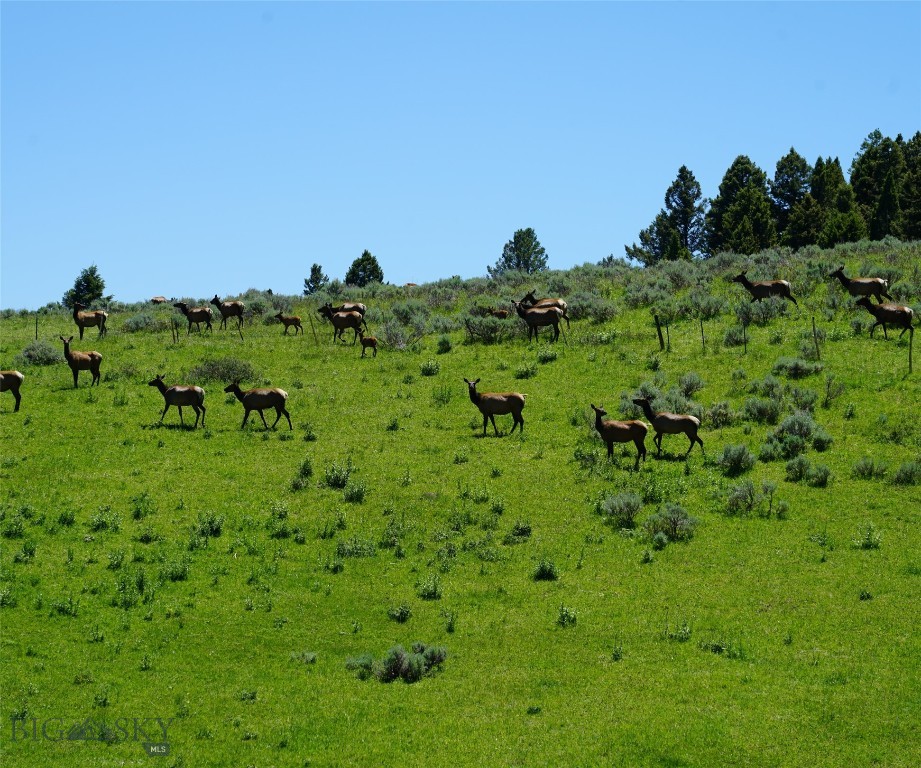 Big Sky MT 59716 - 13