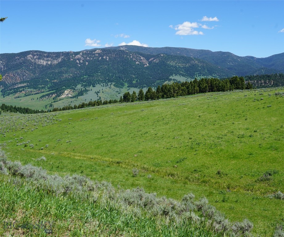 Big Sky MT 59716 - 14