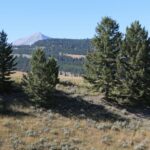 Big Sky MT 59716 - 15