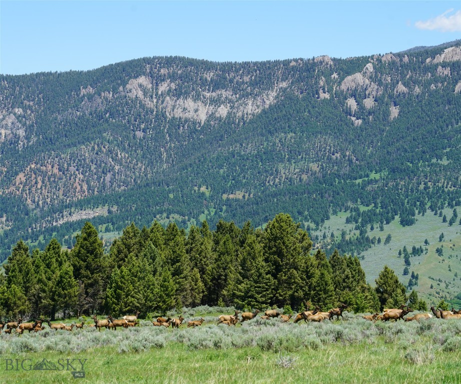 Big Sky MT 59716 - 19