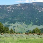 Big Sky MT 59716 - 20