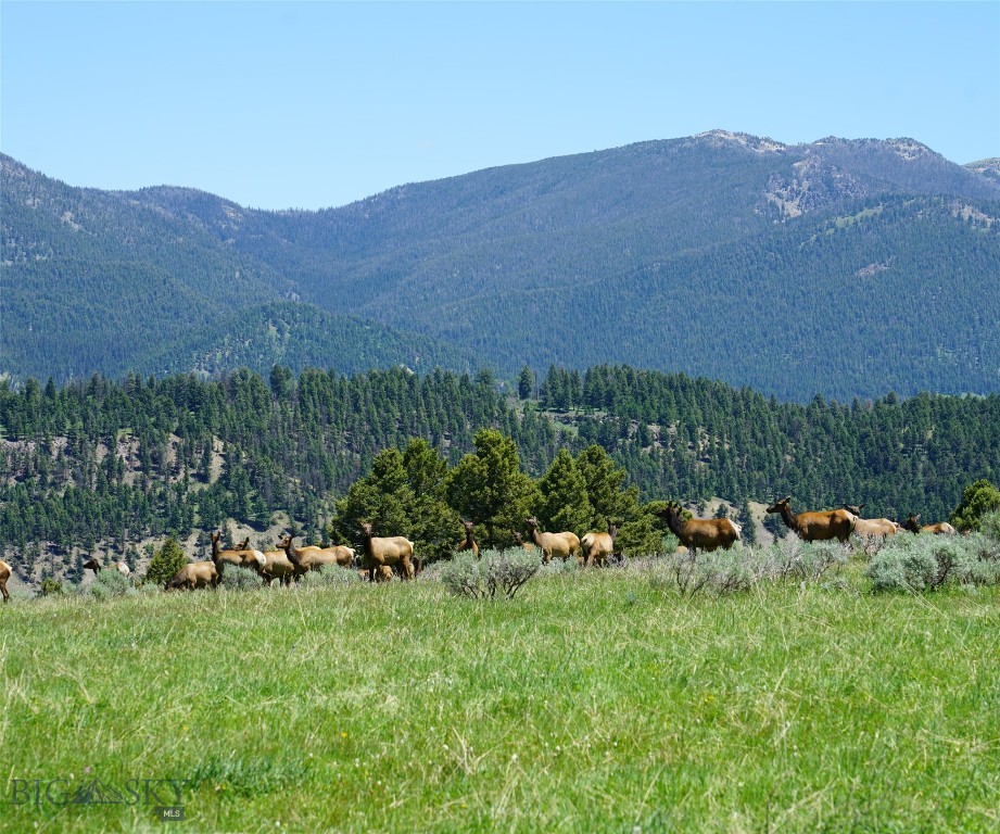 Big Sky MT 59716 - 3