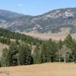 Big Sky MT 59716 - 4