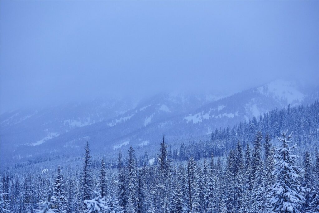 Big Sky MT 59716 - 9