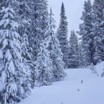 tbd Ulery's Lakes Road - Lot 12A + 13A
