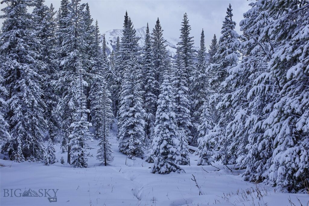 Big Sky MT 59716 - 10