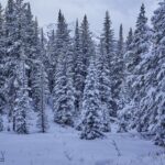 Big Sky MT 59716 - 10