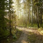tbd Ulery's Lakes Road - Lot 12A + 13A