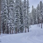 tbd Ulery's Lakes Road - Lot 12A + 13A