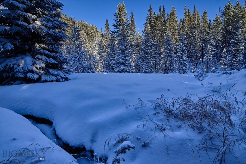 Big Sky MT 59716 - 11