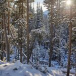 Big Sky MT 59716 - 12