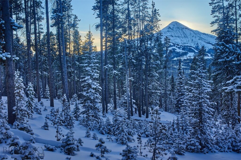 Big Sky MT 59716 - 13