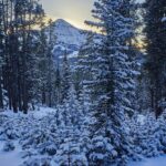 tbd Ulery's Lakes Road - Lot 12A + 13A