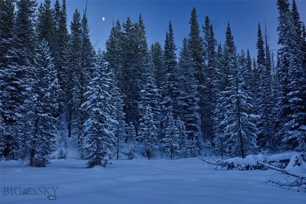Big Sky MT 59716 - 14