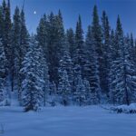 Big Sky MT 59716 - 14