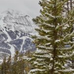 Big Sky MT 59716 - 3