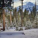 Big Sky MT 59716 - 5