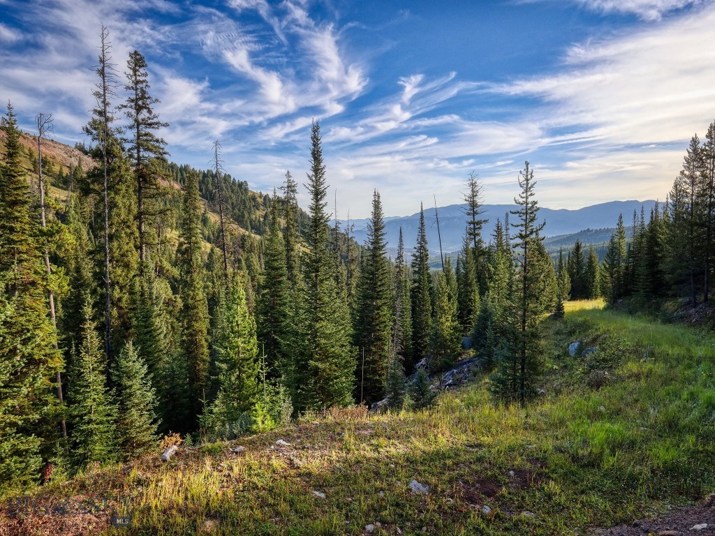 TBD Upper Beaver Creek Road