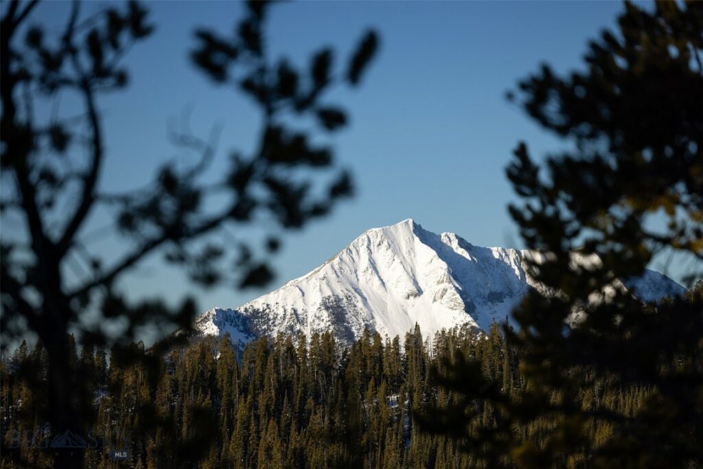 TBD Upper Beehive Loop Road