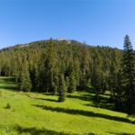 TBD Upper Chief Joseph Trail