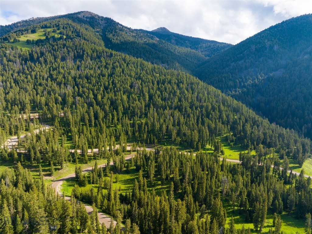 TBD Upper Chief Joseph Trail