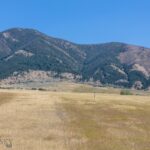 Bozeman MT 59715 - 7