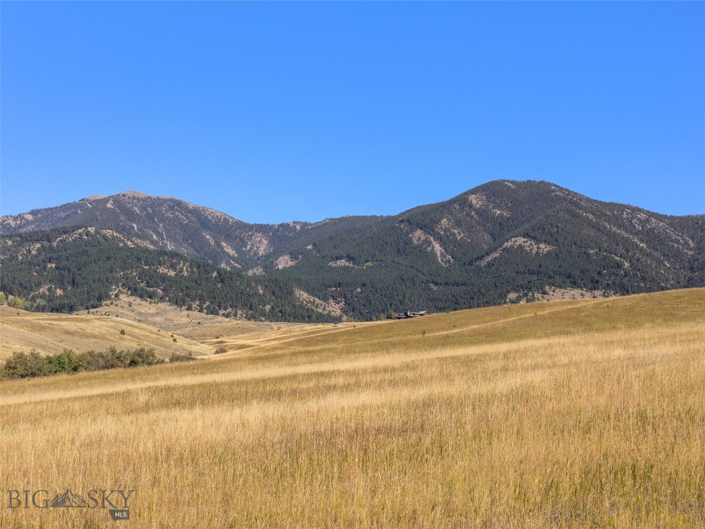 Bozeman MT 59715 - 2