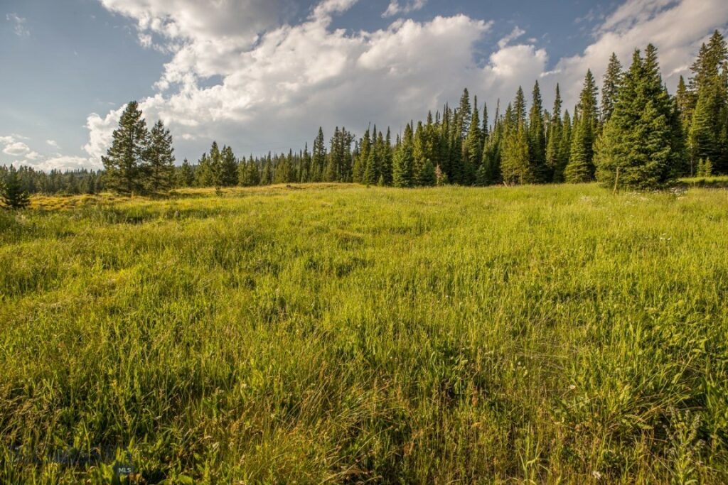 TBD Washaki Lot 23 Road