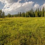 TBD Washaki Lot 23 Road