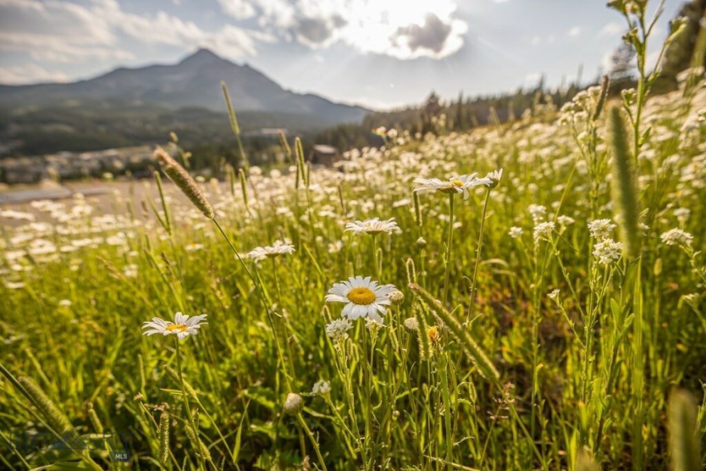 Big Sky MT 59716 - 10
