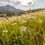 Big Sky MT 59716 - 10