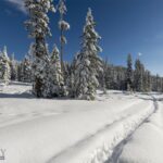 Big Sky MT 59716 - 6