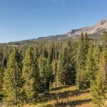 Big Sky MT 59716 - 1