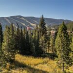 TBD White Otter Road