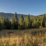 TBD White Otter Road