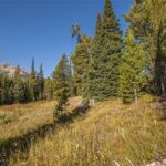 Big Sky MT 59716 - 13