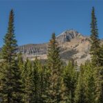 TBD White Otter Road