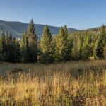 TBD White Otter Road