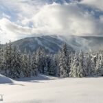 TBD White Otter Road